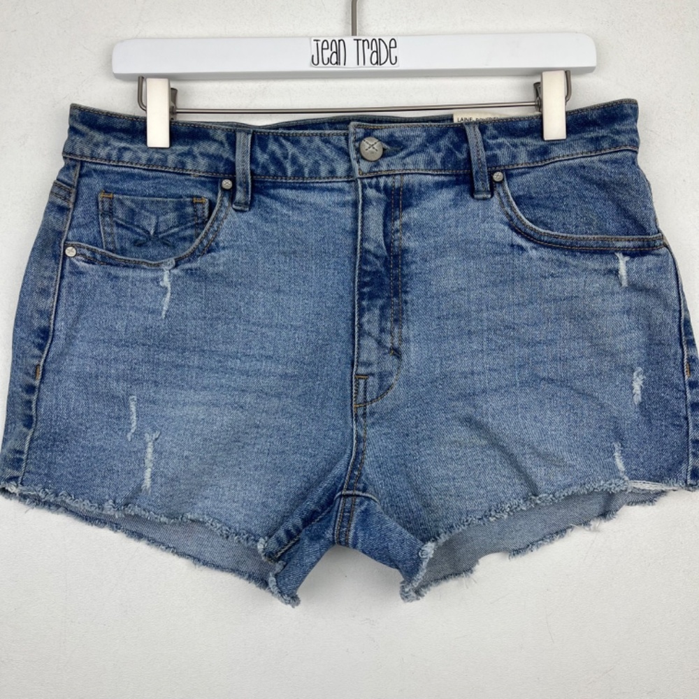 NWT Unpublished Laine Boyfriend Jean Shorts